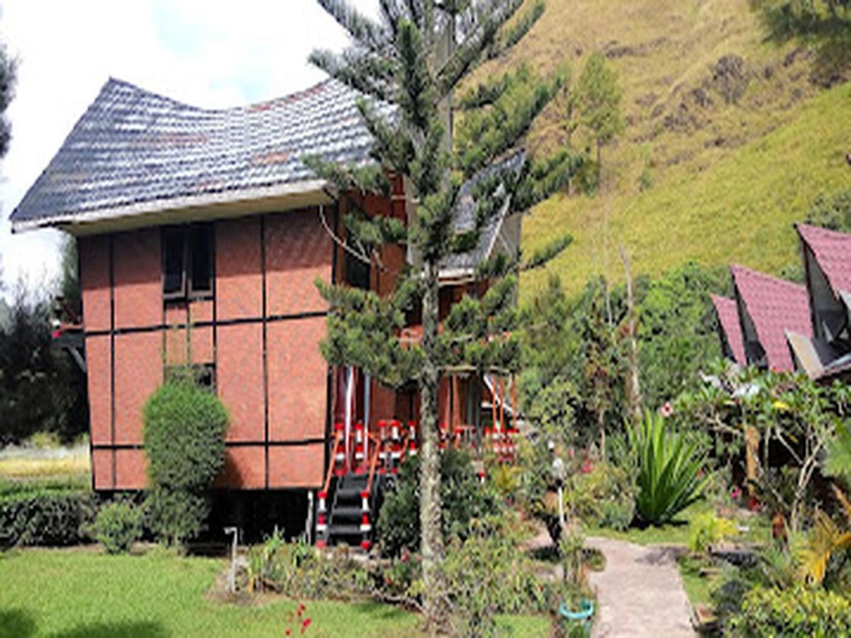 Roman Sinasi Hotel Tongging Dış mekan fotoğraf